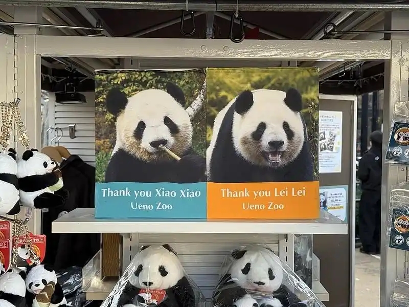 パンダの「暁暁」と「蕾蕾」が27日に日本から中国に返還--人民網日本語