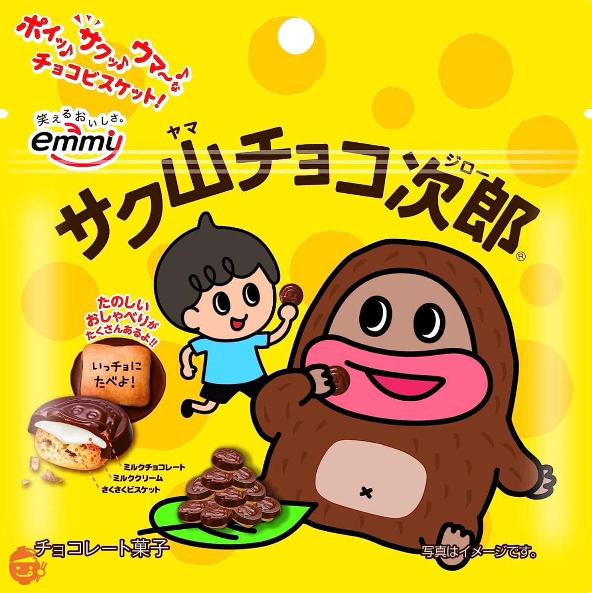 Shoei Delicy Sakuyama Choco Jiro stand pouch 42g x 8 bags – Japacle