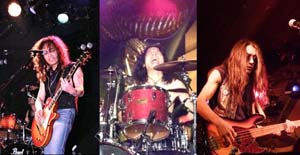 IVORY GATE / アイボリー・ゲイト ページ-