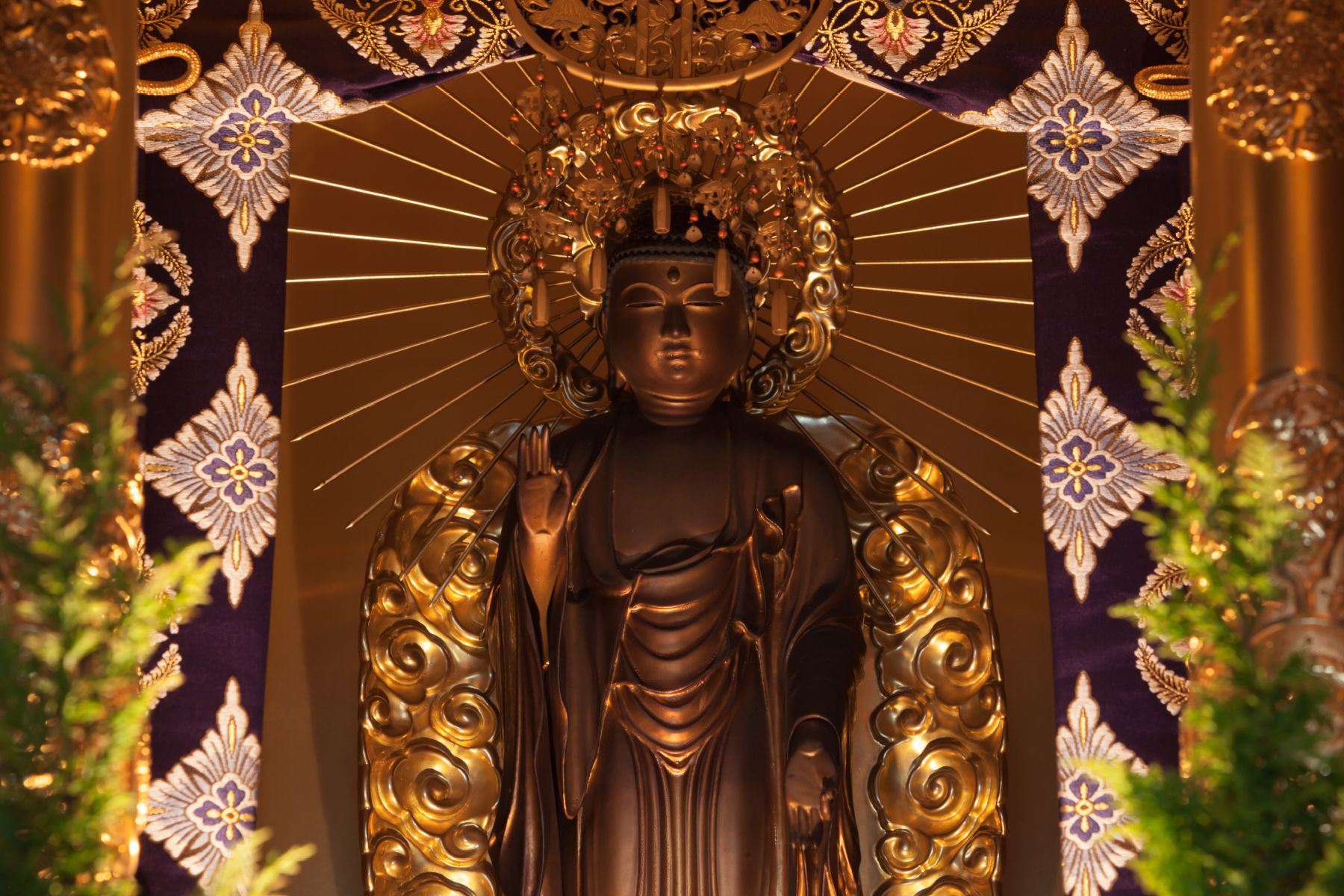 写真でみる | 浄土真宗 本願寺派 興徳山 乗善寺 公式サイト