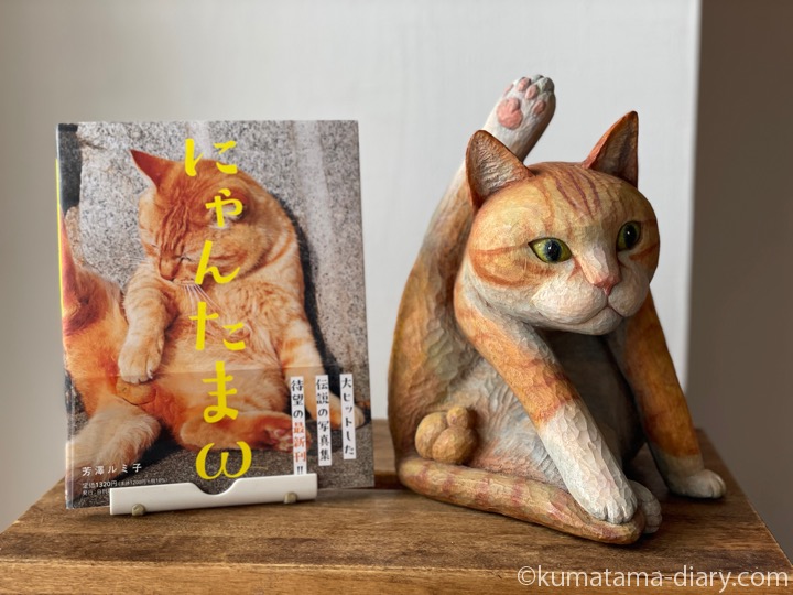 ねこたまの写真集「にゃんたまω」