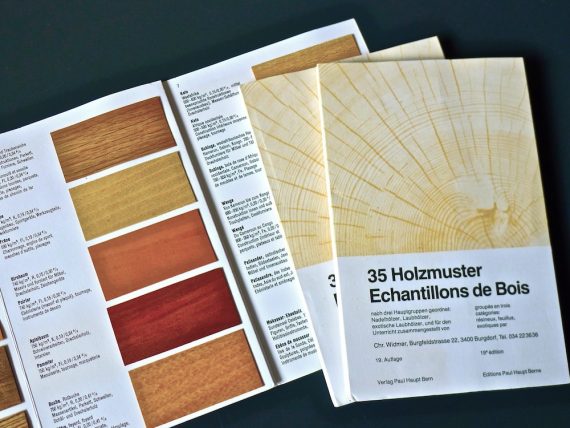 木材標本 3種【日本国産・外国産・熱帯産】 木材標本 3種【日本国産・