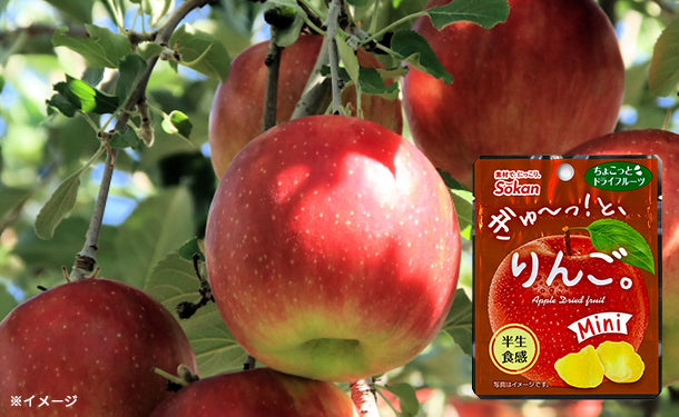 main01-2024-10-01T125043.139.