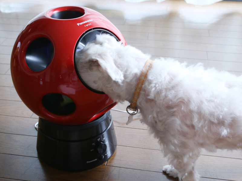 家電製品ミニレビュー】子どもやペットがいても安心して使える「創風機