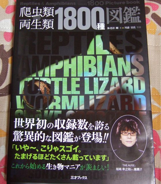 爬虫類 両生類 1800種 図鑑: 亀☆かめぞー日記☆亀