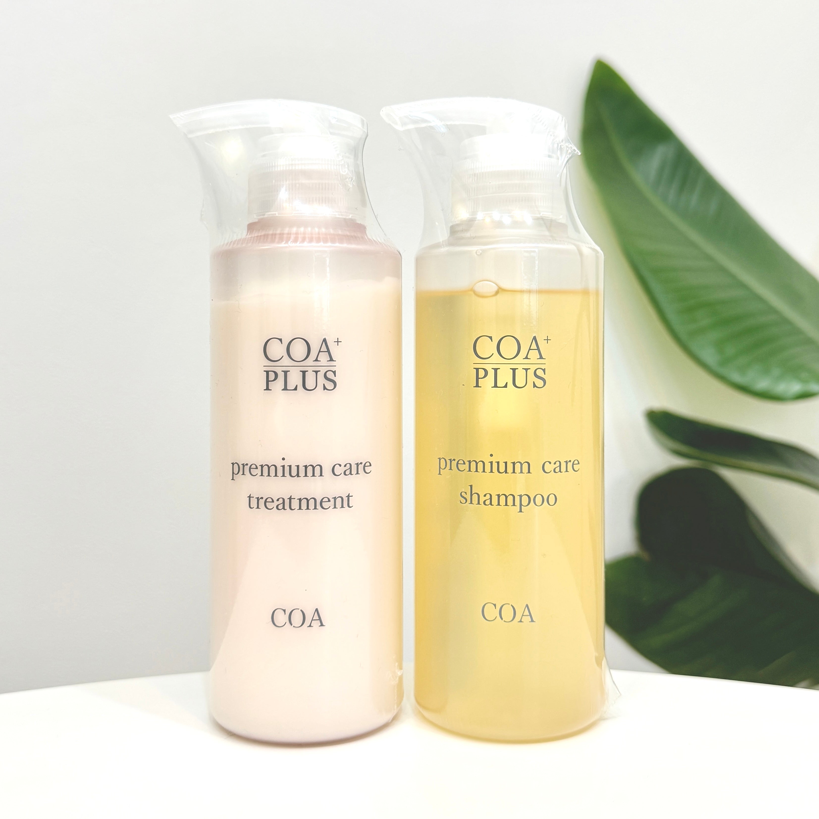 IMG_2066.jpg?v=1726885529