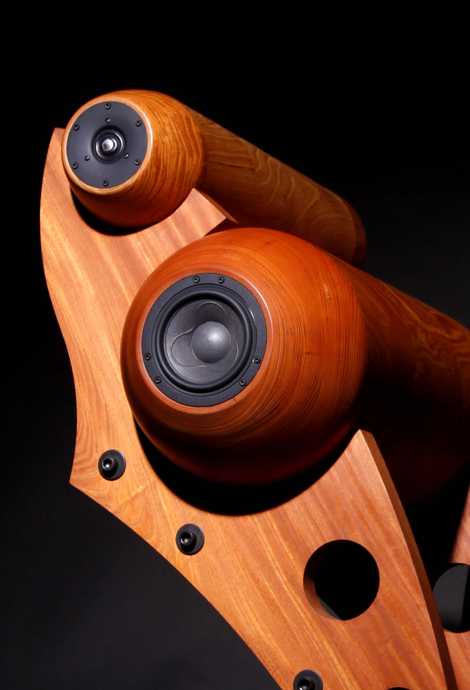 天然木スピーカー | カネキン小椋製盆所