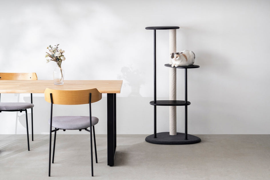 KARIMOKU CAT とともにつくる猫がいることで完成する空間 – KANADEMONO