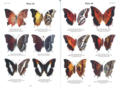 アフリカの蝶類 関連書籍