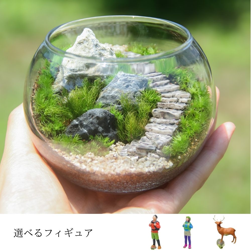 選べるフィギュア_階段の風景 ボウルL《苔テラリウム・コケリウム