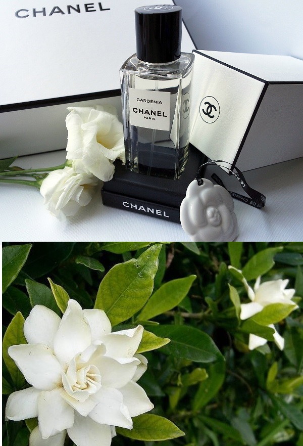 お知らせ - シャネルの7年に1度しか販売されない幻の香水ご存知ですか