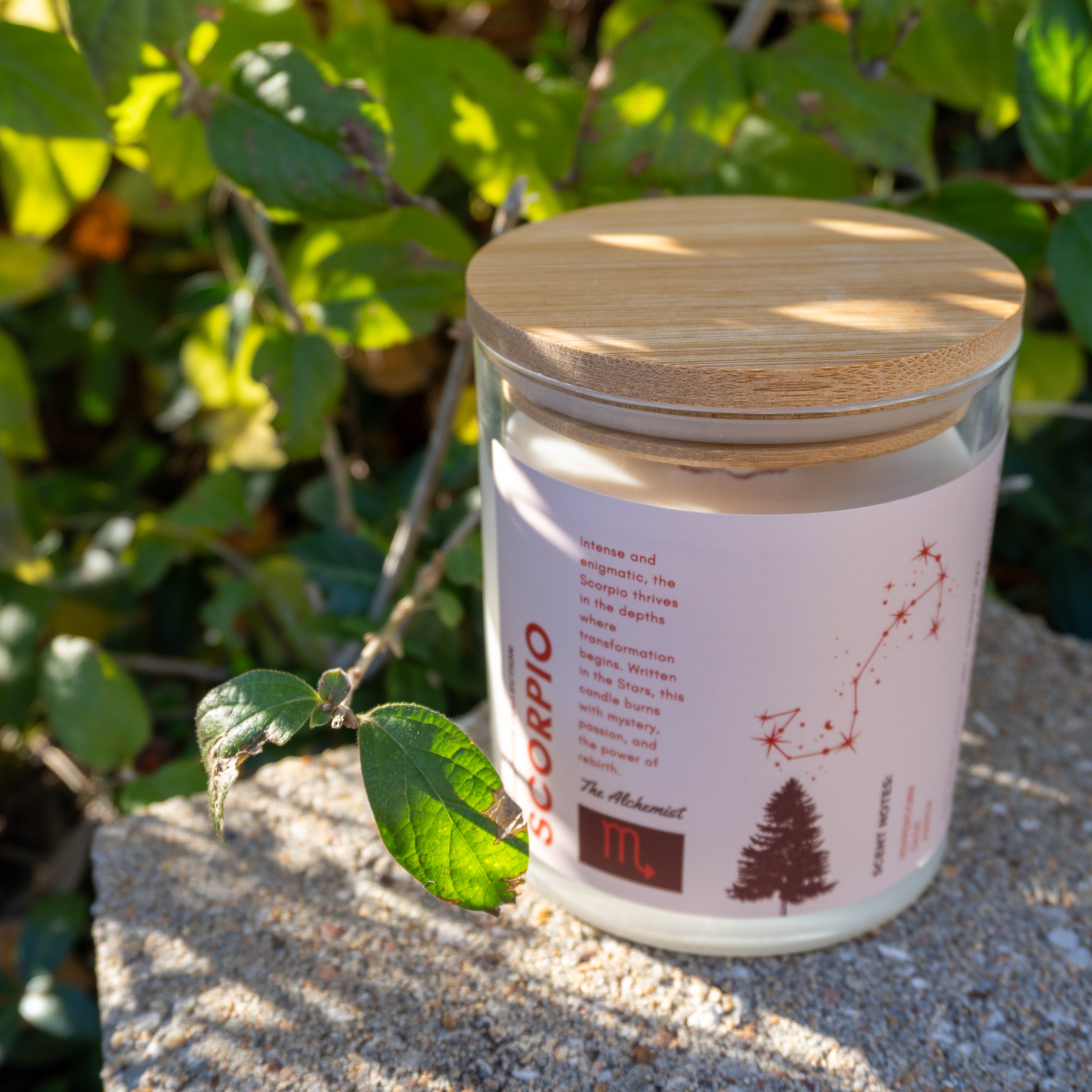 ♏ SCORPIO Candle – The Alchemist | Written In The Stars Edition