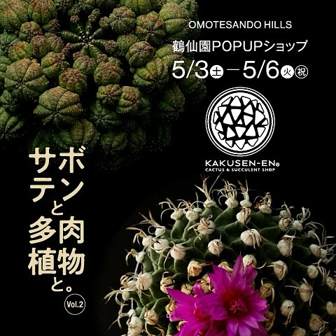 鶴仙園が表参道ヒルズでPOP UPショップを開催、300鉢以上のサボテンと