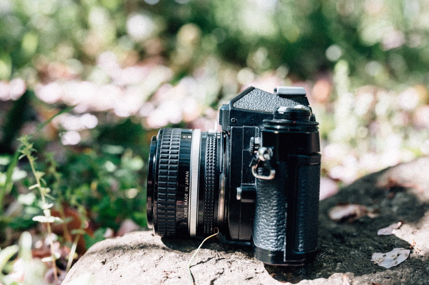 ニコンのフィルムカメラFE2を買いました！仕様や撮った写真を載せてみ