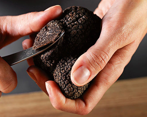 プランタン] 黒トリュフ エクストラ ジュース入り - 100g – Les Terroirs