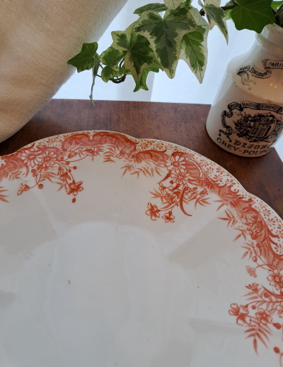 TY0084 ワイルマン リリーシェイプ プレート * ワイルマン社 WILEMAN