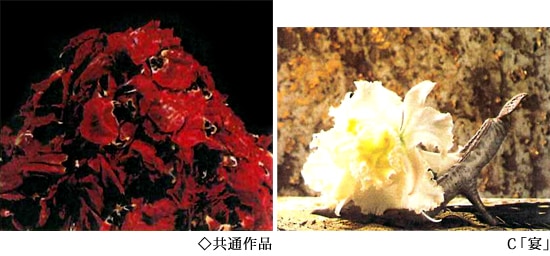 特装本 】中川幸夫作品集 魔の山