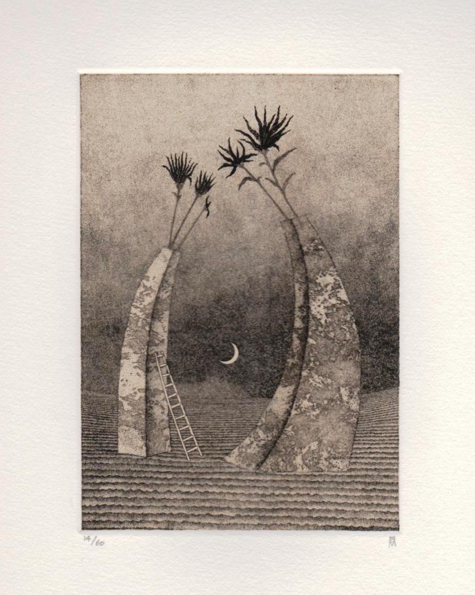 松崎滋の幻想世界 ―モノクロ銅版画の魔法―: ジョヴァンニッキ