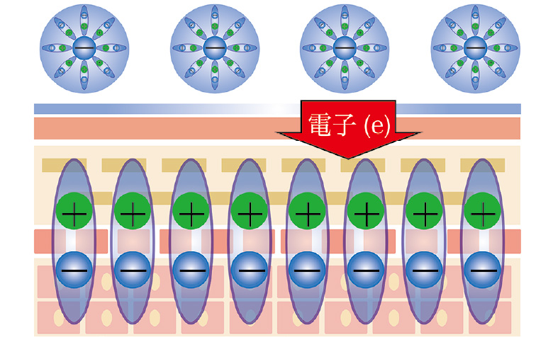 フェイススリムブースターセラム Face Slim Booster Serum - gran-9