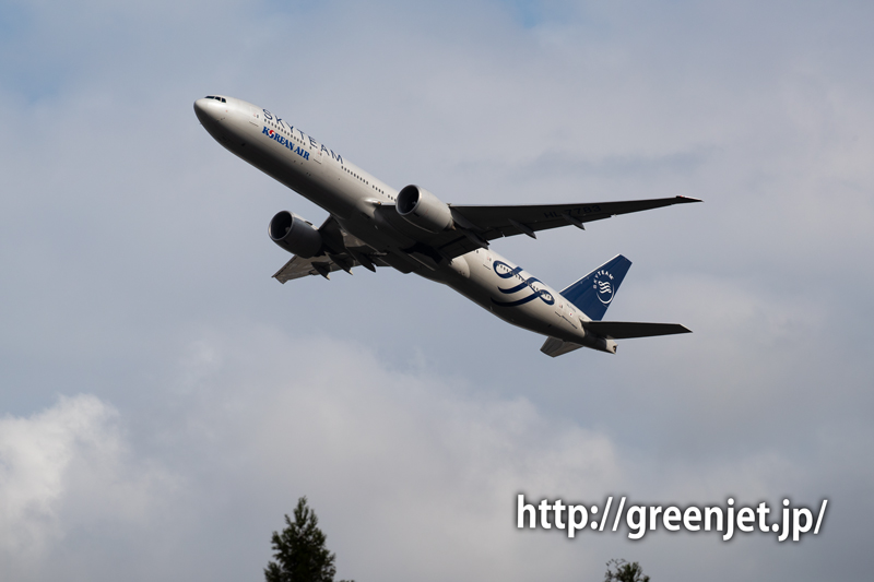 スカイチーム塗装機のB777とさくらの山 | MGT Greenjet 飛行機撮影記