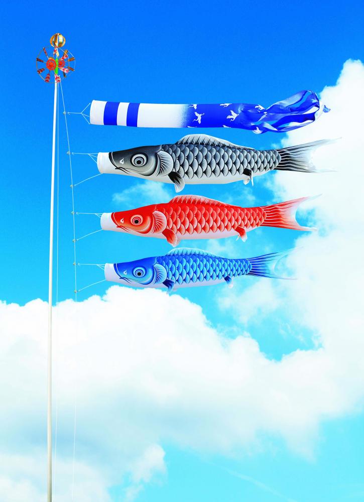 庭園鯉 瑞宝 3m 6点セット 065 – 福仙