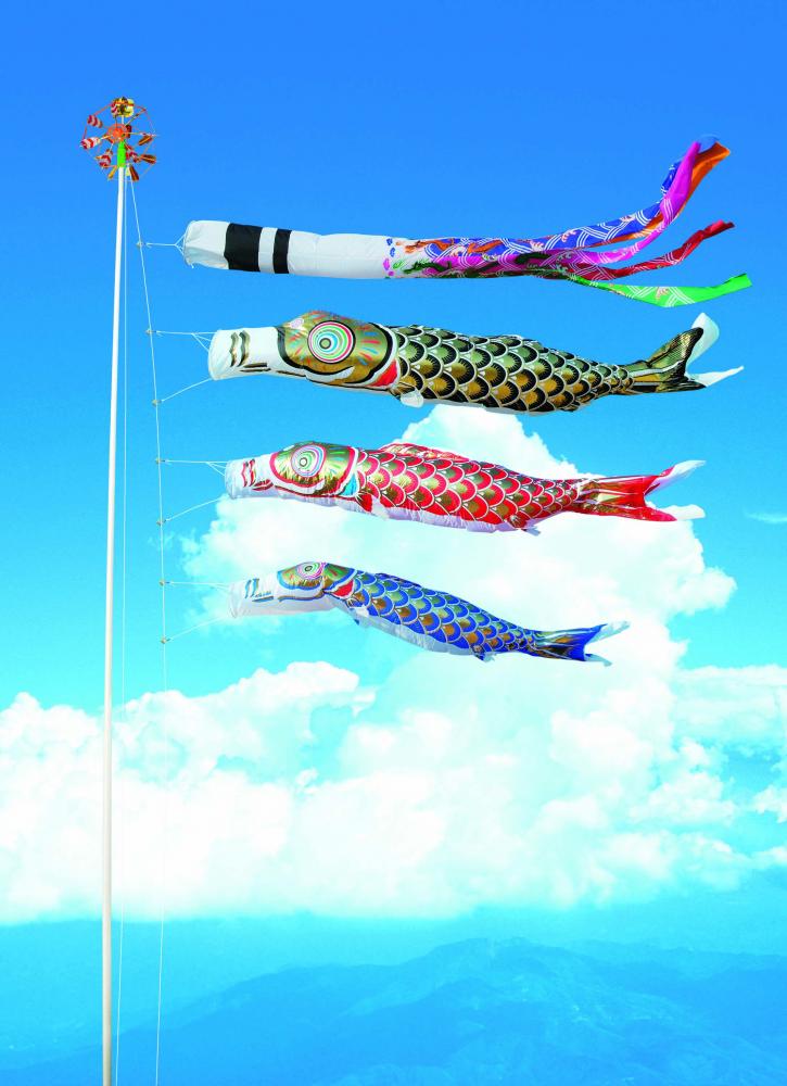 庭園鯉 祥龍黄金鯉 6m 6点セット 317 – 福仙