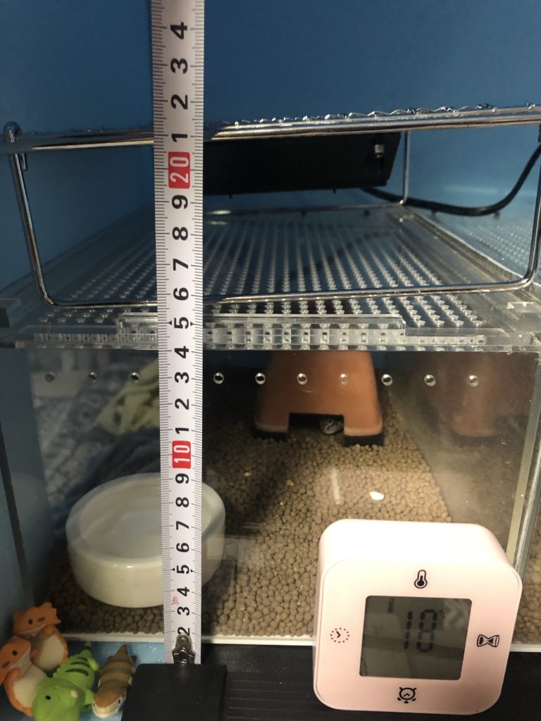 レプタイルボックスに設置するヒーティングトップの最適距離は何cm