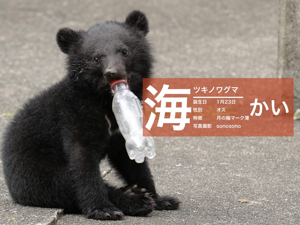 決定」 | くまくま園 公式ホームページ