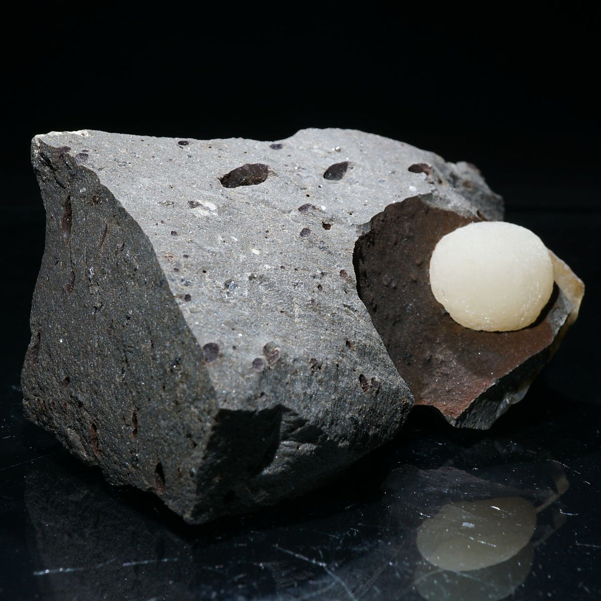 91514-5_1200x1200.jpg?v=1680055866