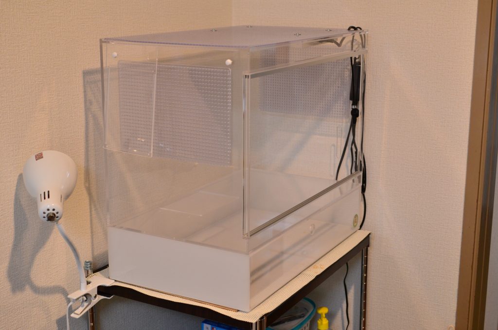 本気レビュー】ハリネズミ用アクリル飼育ケージの使用感 | 我が家の