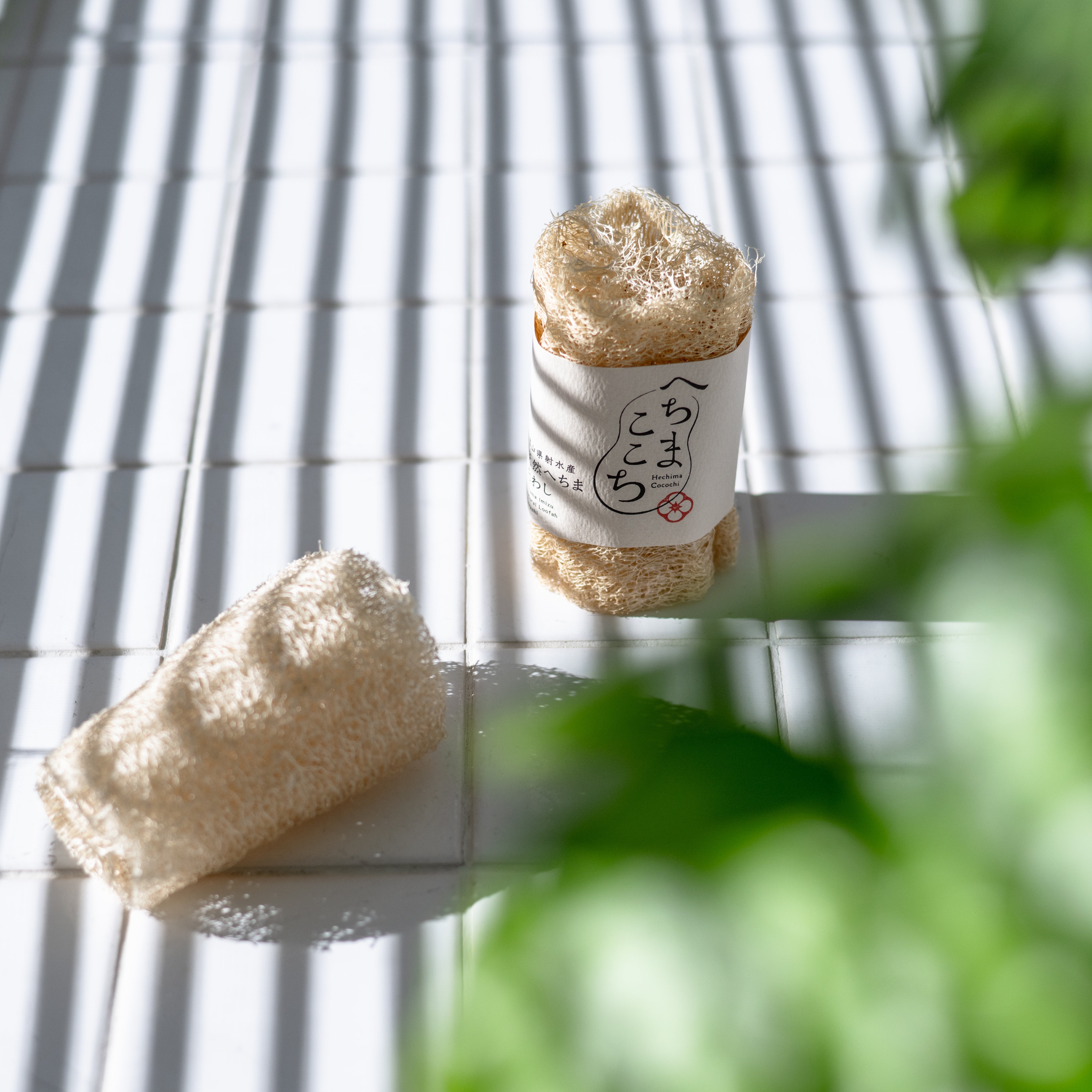 DSC_1744.jpg?v=1714022737