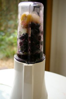 トライベストのパーソナルブレンダー【tribest personal blender