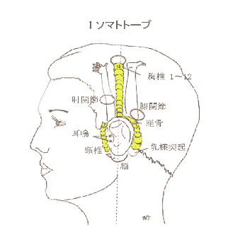 当院の主な施術法】 ｜ 陽なた鍼灸・整骨院 ｜ 印西市木下の根本から
