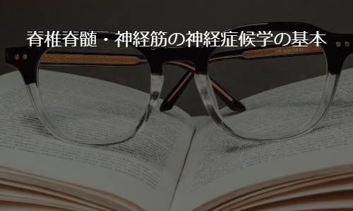 脊椎脊髄・神経筋の神経症候学の基本―日常診療での誤診を防ぐ初めの