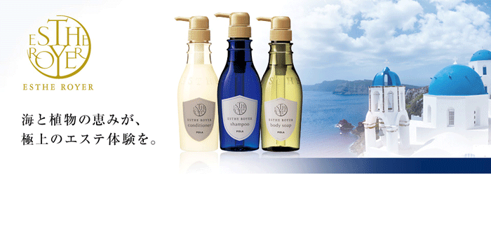 POLA エステロワイエ 10L 3種類選べるセット 業務用 【ノンシリコン