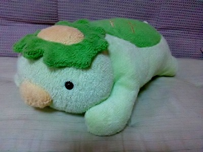 fricca ましゅまろせらぴ よつんばいシリーズ (かっぱ) | のらPの