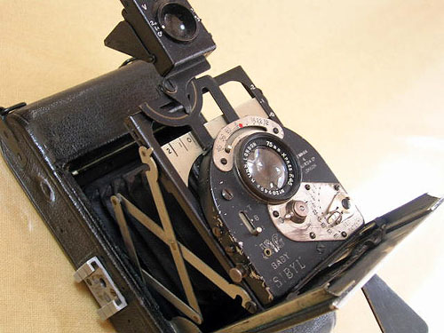 Newman & Guardia Baby SIBYL（大英帝国の末裔） | グラット氏の