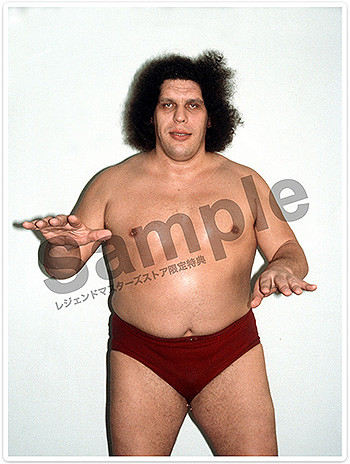 16dソフビコレクション WWE アンドレ・ザ・ジャイアント