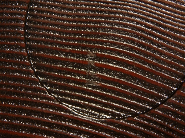 人間国宝 川北良造 唐松香合 共箱 | 坂井春明堂