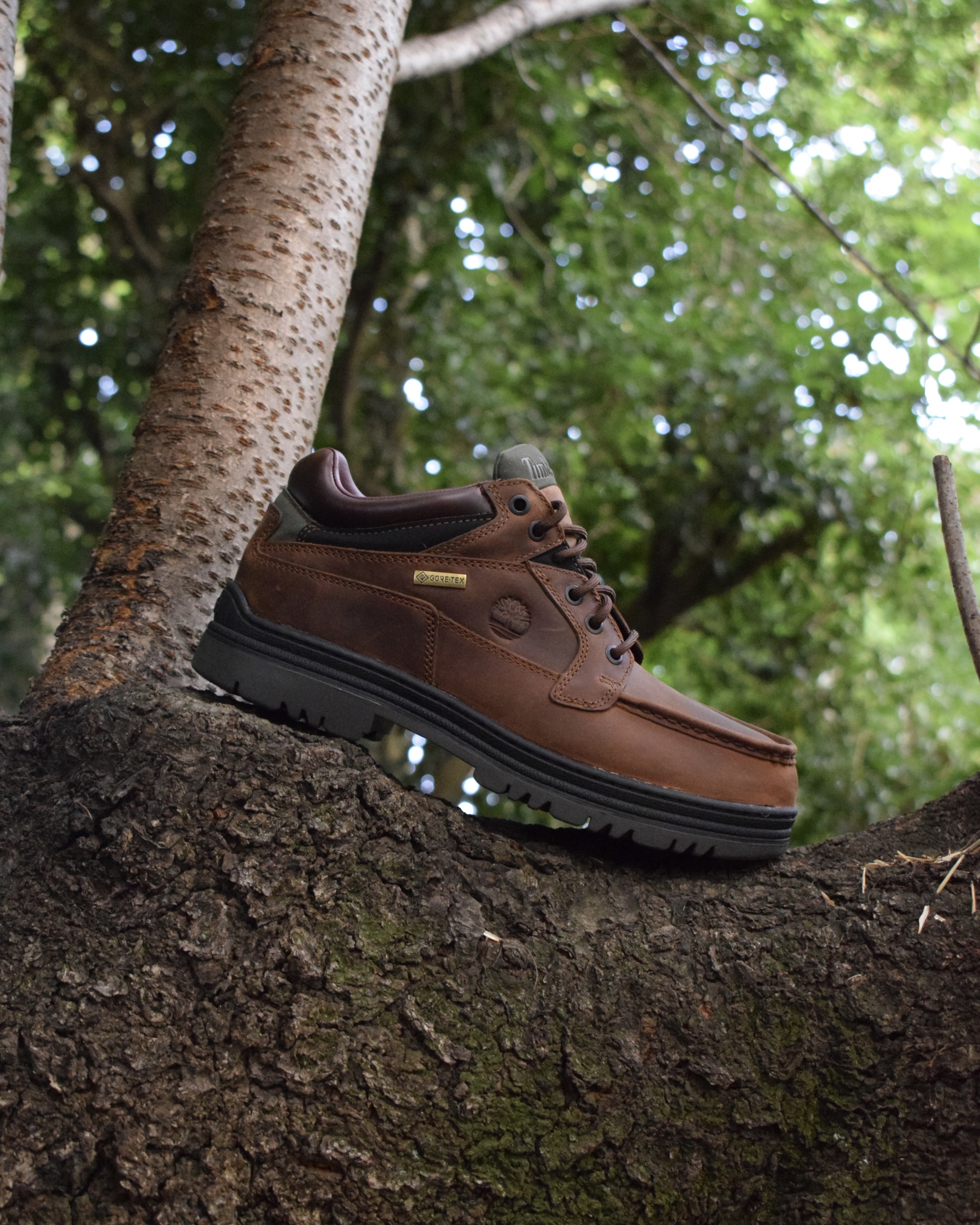 GTX MOC TOE MID | the Apartment