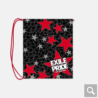 EXILE LIVE TOUR 2013 