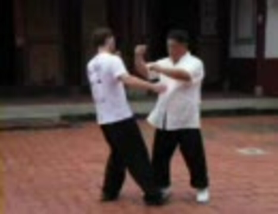 白鶴門食鶴拳 - Feeding Crane in Taiwan - ニコニコ動画