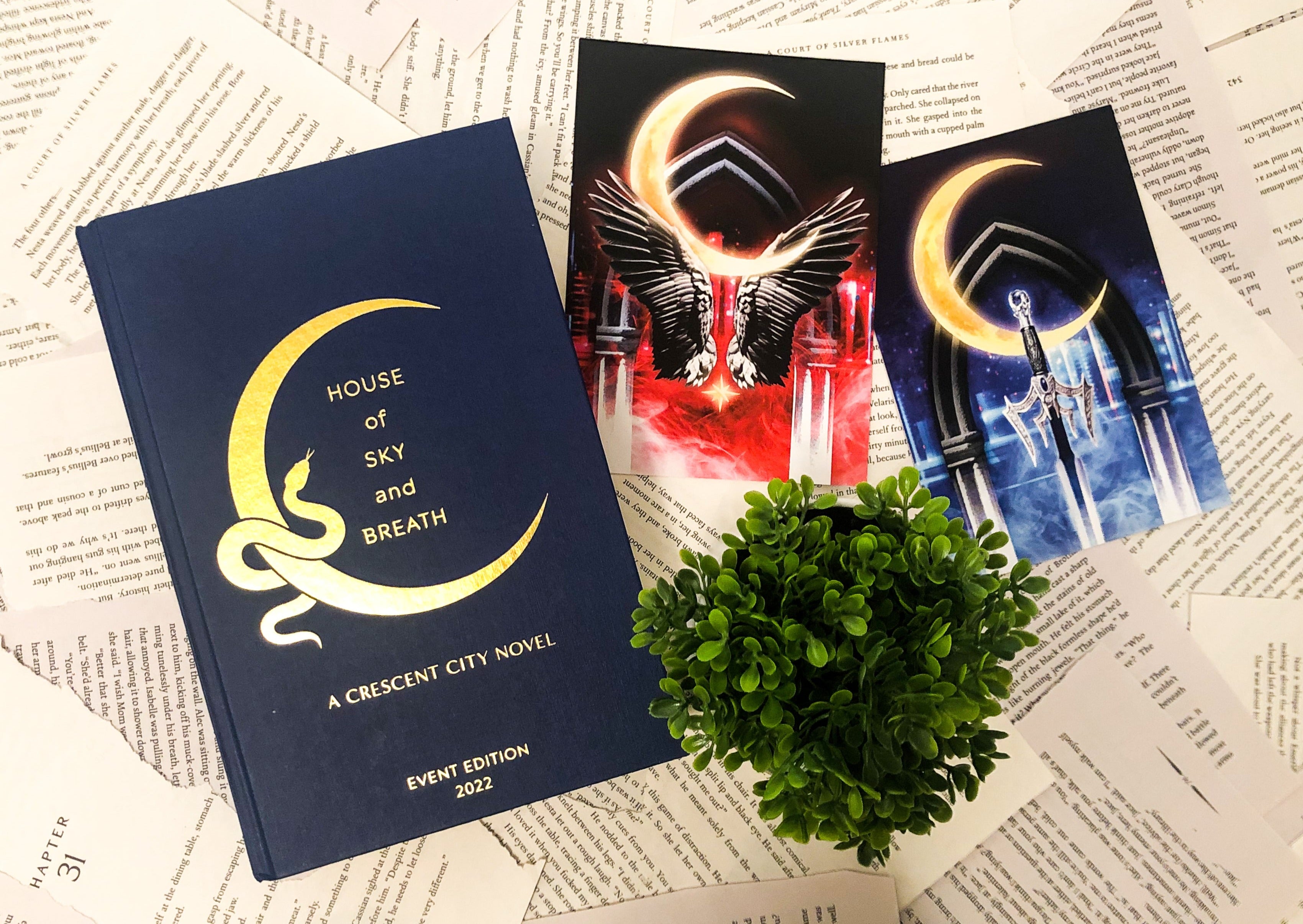 Officially Licensed Crescent City 5 x 7 inches Mini Premium Art