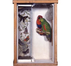 ジョゼフ・コーネル×高橋睦郎 箱宇宙を讃えて | アートテラー・とに