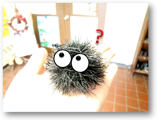 まっくろくろすけ？ | 秋田県 矢島町観光サポーターぶろぐ