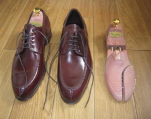 トレーディングポストさんのカルミナに名コンビ登場！ | シュー