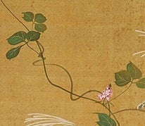 酒井抱一筆｢七草図｣② ～秋の七草って？～ | 徳川ミュージアムのブログ