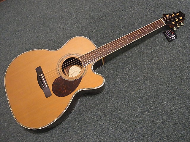 グレッグ・ベネット Greg Bennet OM-8CE | コスモ楽器 オフィシャルブログ