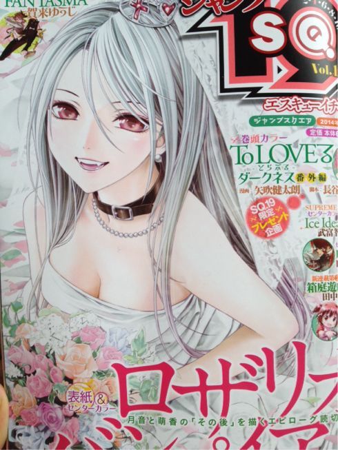 ロザリオとバンパイア□赤夜萌香 B2ポスター ロザリオとバンパイア□赤