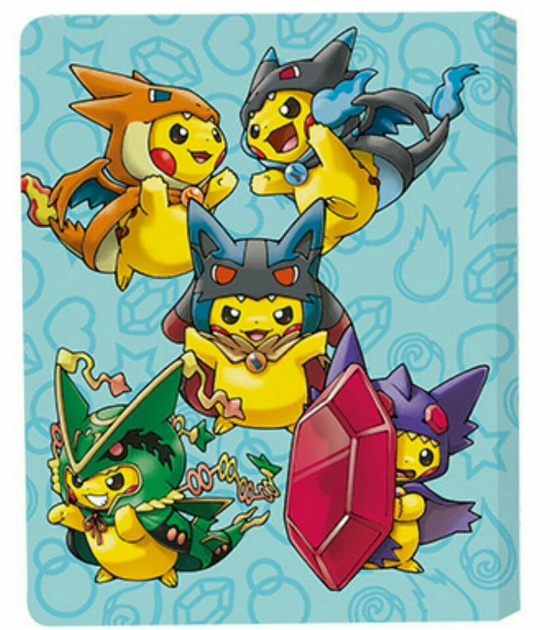 ポンチョピカチュウ 名刺カード カードケース カードファイル